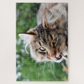 Maine Coon Kitty Cat Cute Fun Animal Legpuzzel (Verticaal)