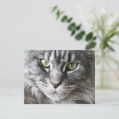 Maine Coon Kitty Cat Cute Fun Briefkaart (Staand voorkant)