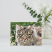Maine Coon Kitty Cat Cute Fun Briefkaart (Staand voorkant)
