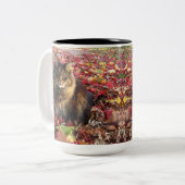 Maine Coon Kitty Cat Tweekleurige Koffiemok (Voorkant links)