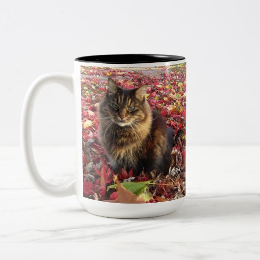 Maine Coon Kitty Cat Tweekleurige Koffiemok (Links)