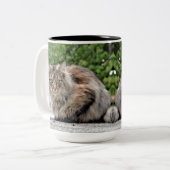Maine Coon Kitty Cat Tweekleurige Koffiemok (Voorkant links)