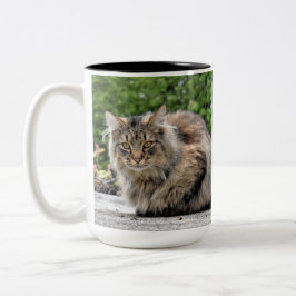 Maine Coon Kitty Cat Tweekleurige Koffiemok