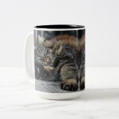 Maine Coon Kitty Cat Tweekleurige Koffiemok (Voorkant links)