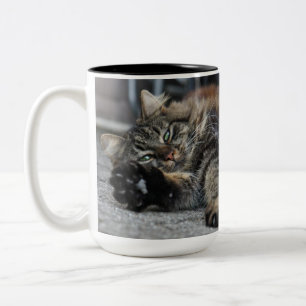 Maine Coon Kitty Cat Tweekleurige Koffiemok