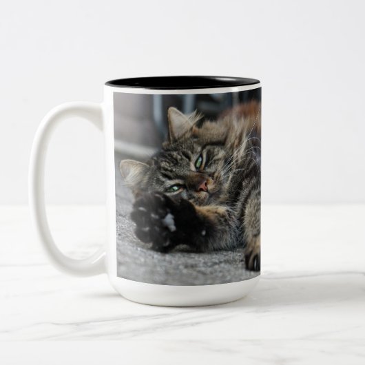 Maine Coon Kitty Cat Tweekleurige Koffiemok (Links)