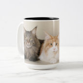 Maine Coon Kitty Cat Tweekleurige Koffiemok (Voorkant links)