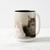 Maine Coon Kitty Cat Tweekleurige Koffiemok (Voorkant rechts)