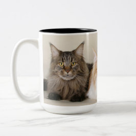 Maine Coon Kitty Cat Tweekleurige Koffiemok