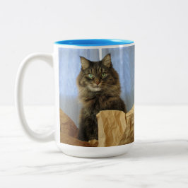 Maine Coon Kitty Cat Tweekleurige Koffiemok