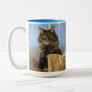 Maine Coon Kitty Cat Tweekleurige Koffiemok