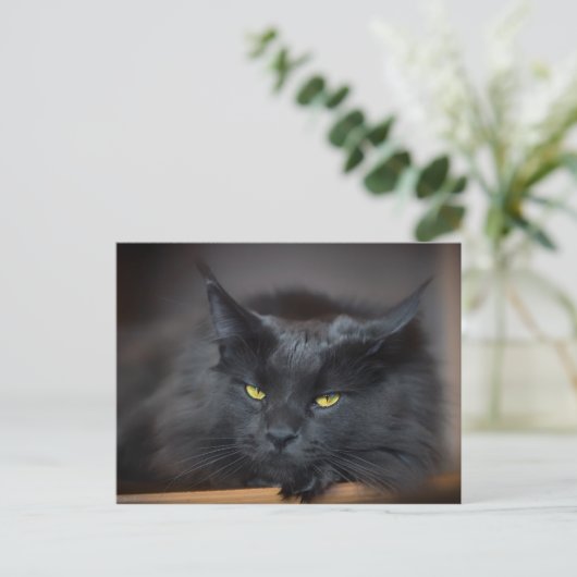 Maine Coon Kitty Cute Fun Briefkaart (Staand voorkant)