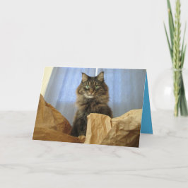 Maine Coon Kitty Kat Cute Aanpasbare Kaart