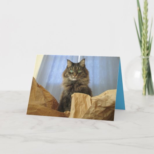 Maine Coon Kitty Kat Cute Aanpasbare Kaart (Voorkant)