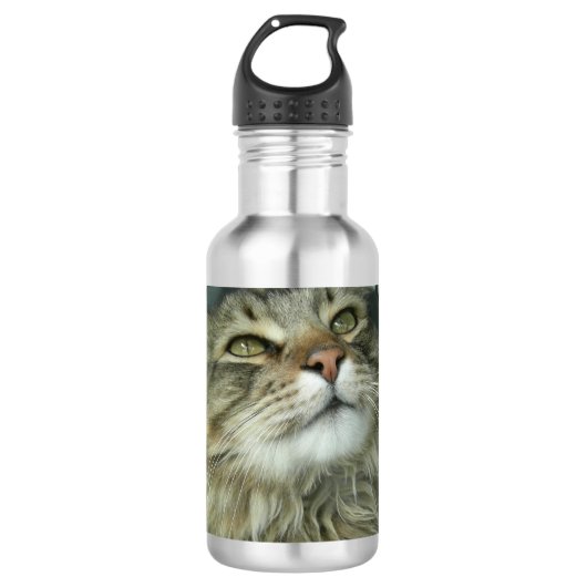 Maine Coon kitty Waterfles (Voorkant)