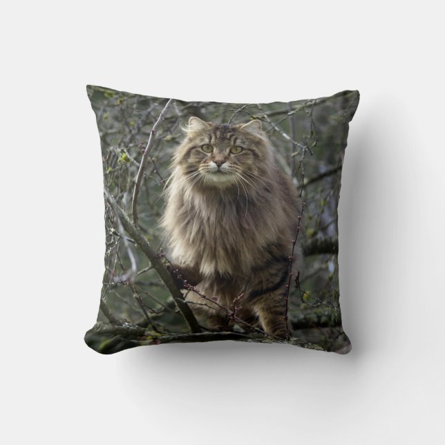 Maine Coon Lang haar Tabby Kat Dier Pet Kussen (Voorkant)