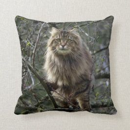 Maine Coon Lang haar Tabby Kat Dier Pet Kussen