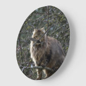 Maine Coon Long-hair Tabby Cat Animal Pet Clock Grote Klok (Hoek)