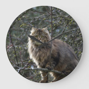 Maine Coon Long-hair Tabby Cat Animal Pet Clock Grote Klok