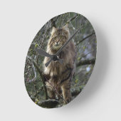 Maine Coon Long-hair Tabby Cat Animal Pet Clock Ronde Klok (Hoek)