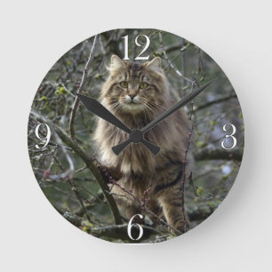 Maine Coon Long-hair Tabby Cat Animal Pet Clock Ronde Klok