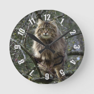 Maine Coon Long-hair Tabby Cat Animal Pet Clock Ronde Klok