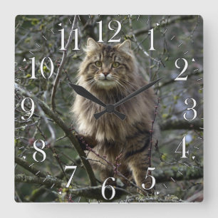 Maine Coon Long-hair Tabby Cat Animal Pet Clock Vierkante Klok