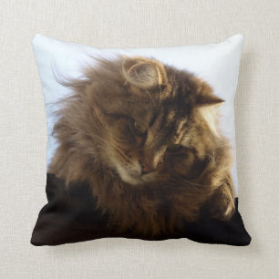 Maine Coon Long-hair Tabby Cat Kussen