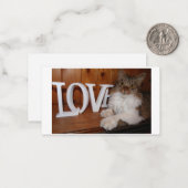 Maine coon love cat 3.5 x 2 notitiekaartje (Voorkant / Achterkant in situ)