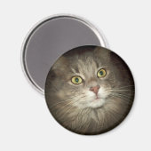 Maine Coon Magneet (Voorkant / Achterkant)