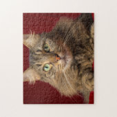Maine Coon met kerstcollectie Legpuzzel (Verticaal)