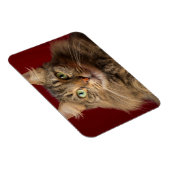 Maine Coon met kerstcollectie Magneet (Rechterzijde)