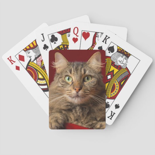 Maine Coon met kerstcollectie Speelkaarten (Achterkant)