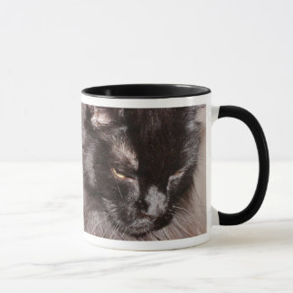 MAINE COON MOK