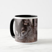 MAINE COON MOK (Voorkant links)