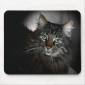 Maine Coon Muismat (Voorkant)