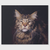 maine coon on a black background younganimal,cat,c cadeaupapier (Vlak)