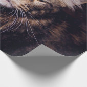 maine coon on a black background younganimal,cat,c cadeaupapier (Hoek)