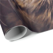 maine coon on a black background younganimal,cat,c cadeaupapier (Rol Hoek)