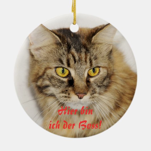 Maine Coon Ornament (Achterkant)