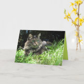 Maine Coon Poes Kitten Knuffel Aanpasbare Kaart (Gele Bloem)