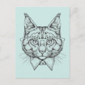 Maine Coon Portrait Briefkaart (Voorkant)