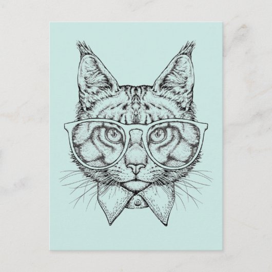 Maine Coon Portrait Briefkaart (Voorkant)
