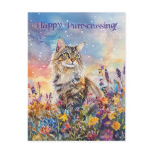 Maine Coon Postcrossing - Briefkaart