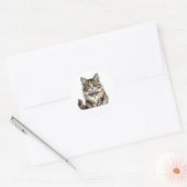 Maine Coon Punk Kat Ronde Sticker (Envelop)