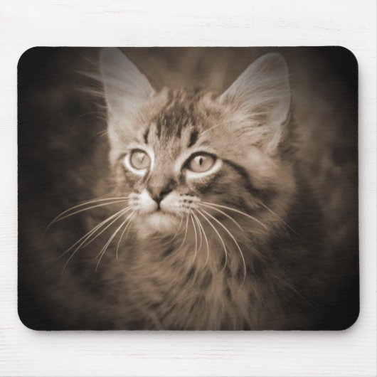 Maine Coon Sepia #1 Mousepad Muismat (Voorkant)