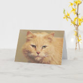Maine Coon Snel Beter Kaart (Gele Bloem)