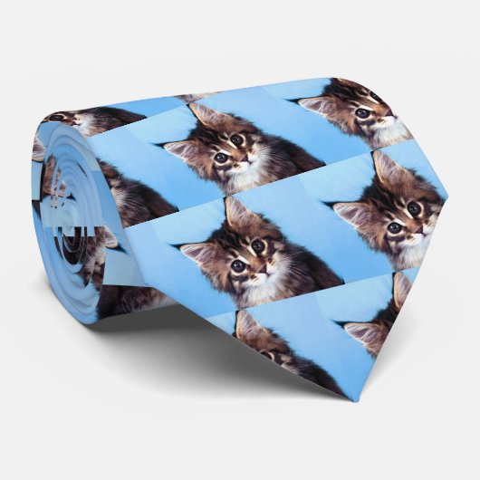 Maine Coon Stropdas (Opgerold)