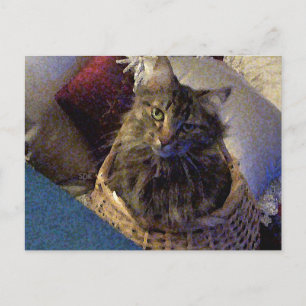 Maine Coon Tabby Cat Briefkaart