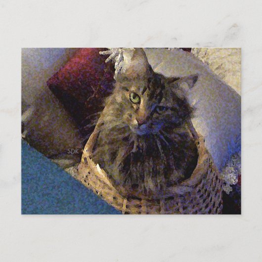 Maine Coon Tabby Cat Briefkaart (Voorkant)